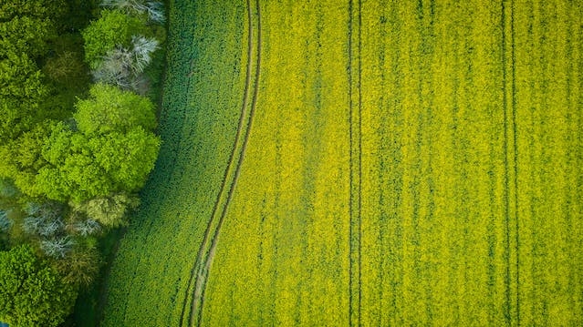 Põllumaa, foto pexels.com, Stephan Müller.jpg