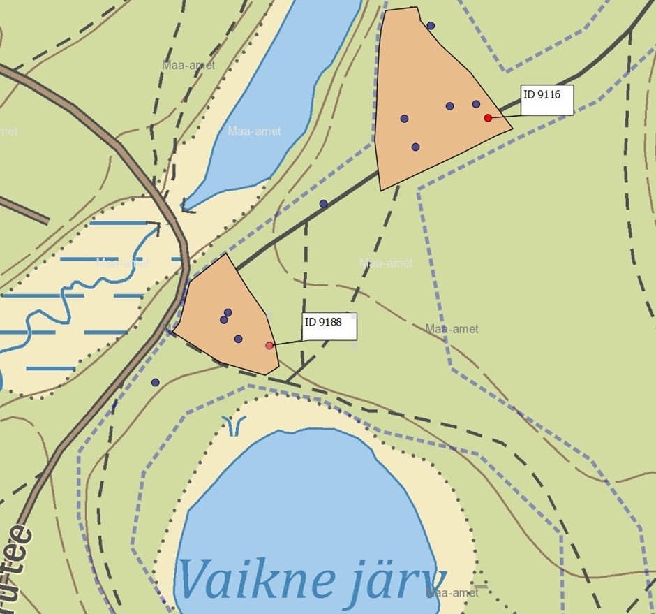 Vaikne järv.jpg