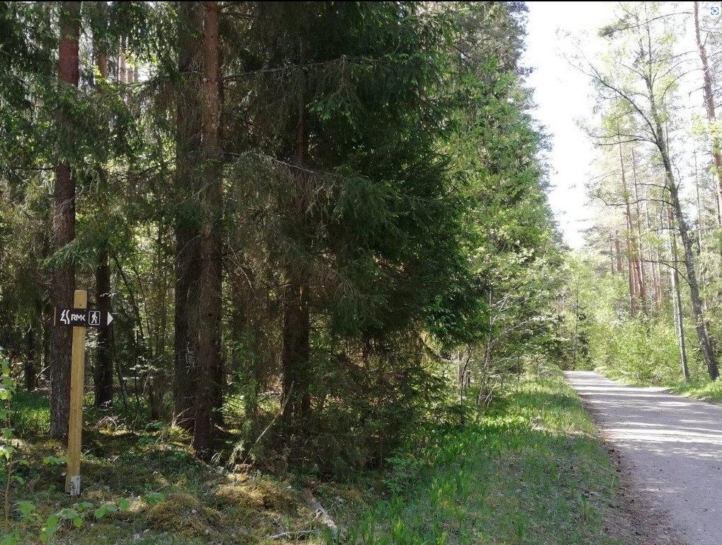 Elva jõe ürgoru matkarada.png