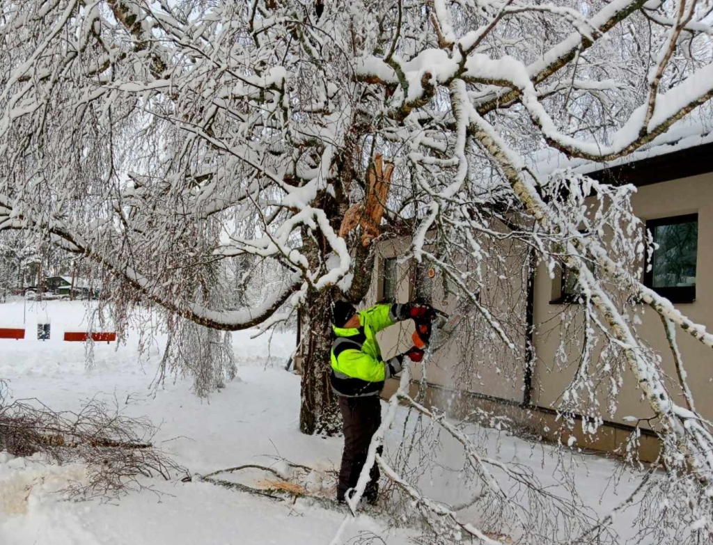 Elva vallamaja juures käis esmaspäeva hommikul usin töö, et lume all murdunud oksi saagida.