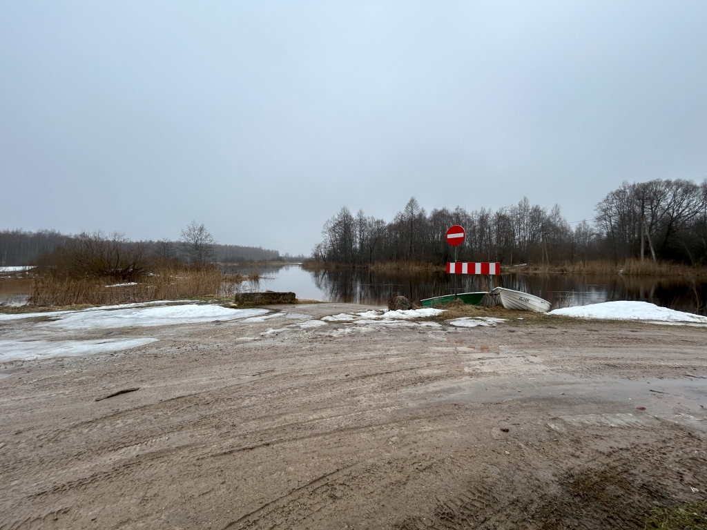 Reku sadamaalal pole praegu suurt midagi, kuid on sellegi poolest populaarne paik harrastuskalurite seas.