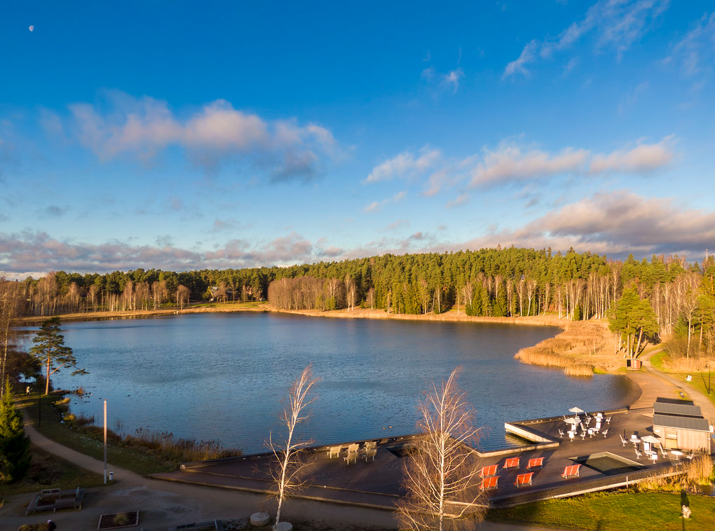 Arbi järv