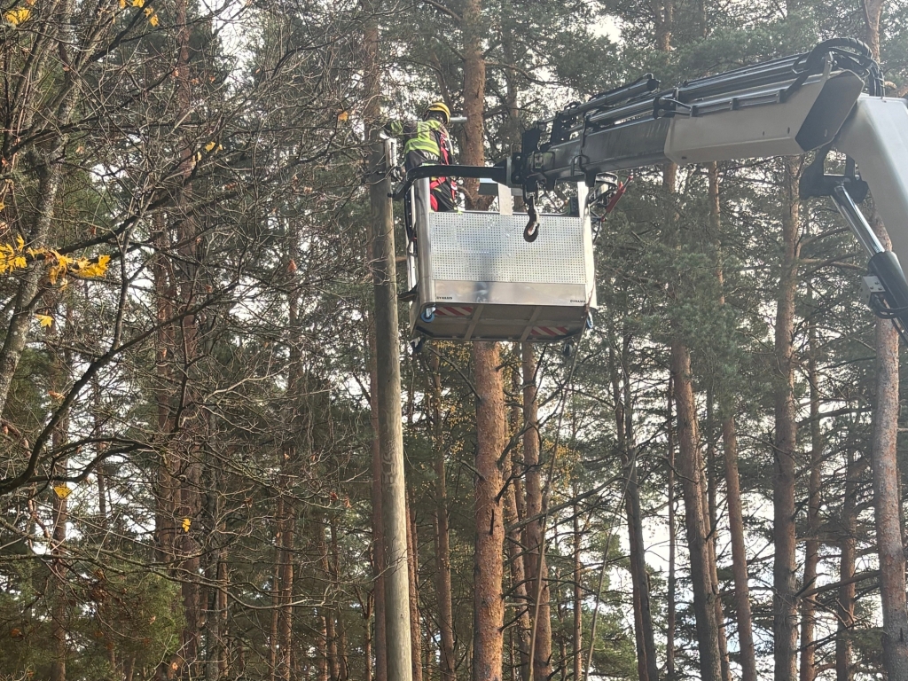 Elva linnastaadioni parkmetsa valgustus.jpg