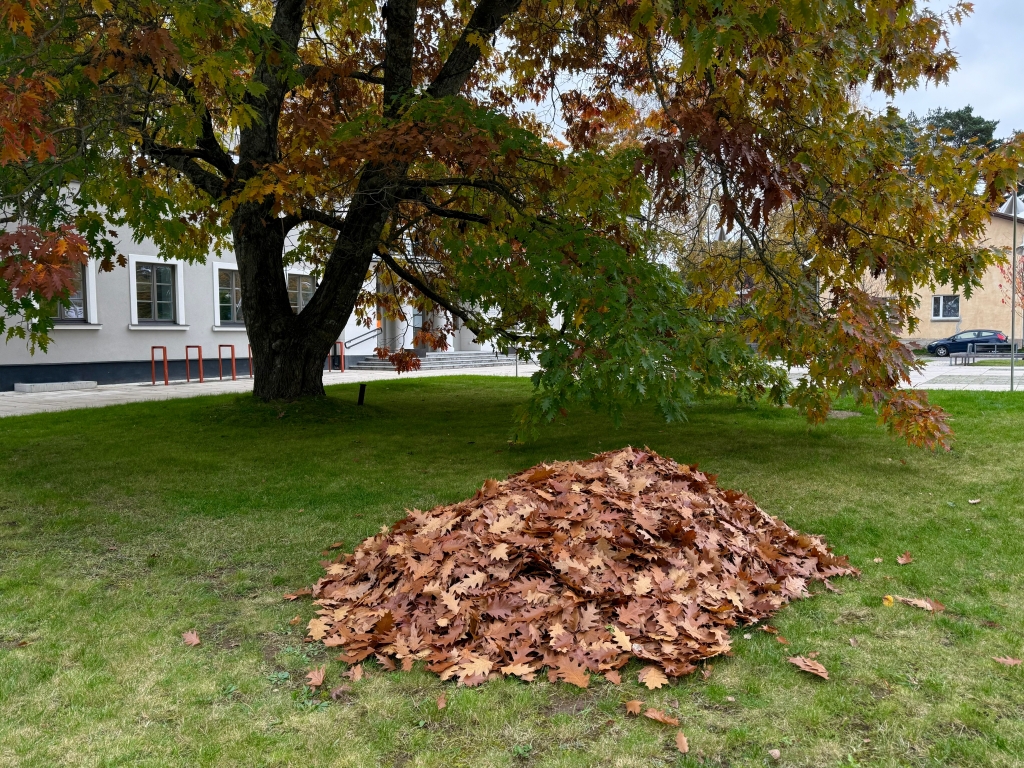 lehevedu.jpg