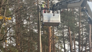 Elva linnastaadioni parkmetsa valgustus